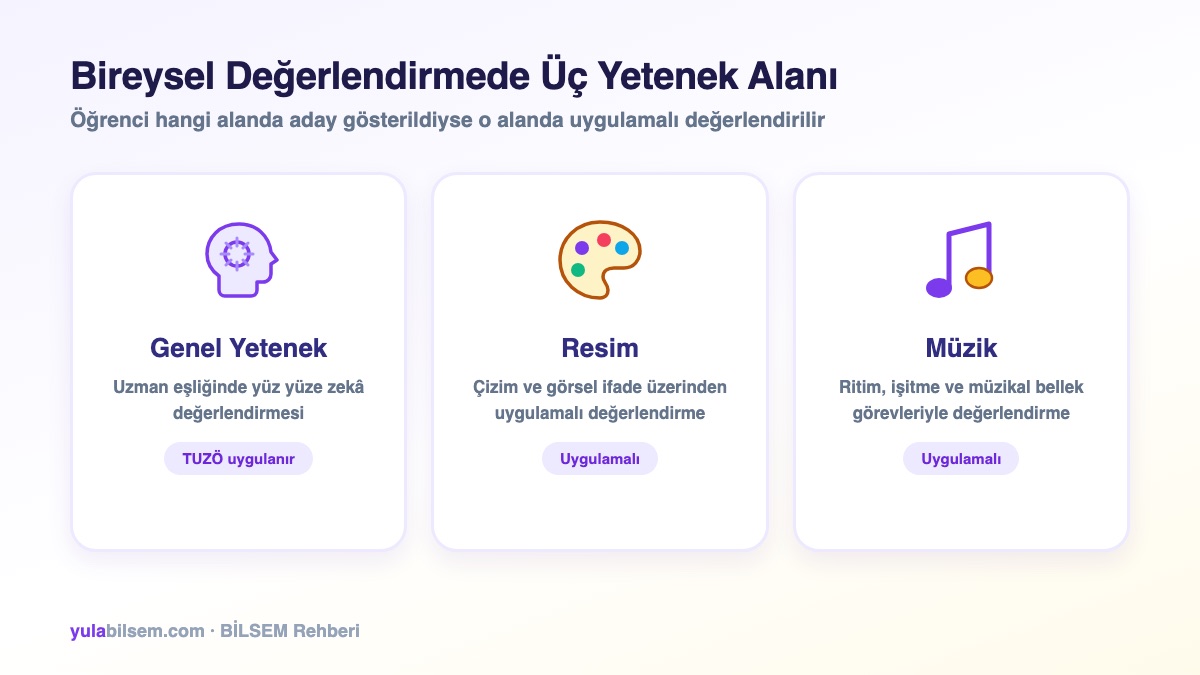 BİLSEM bireysel değerlendirmede üç yetenek alanı