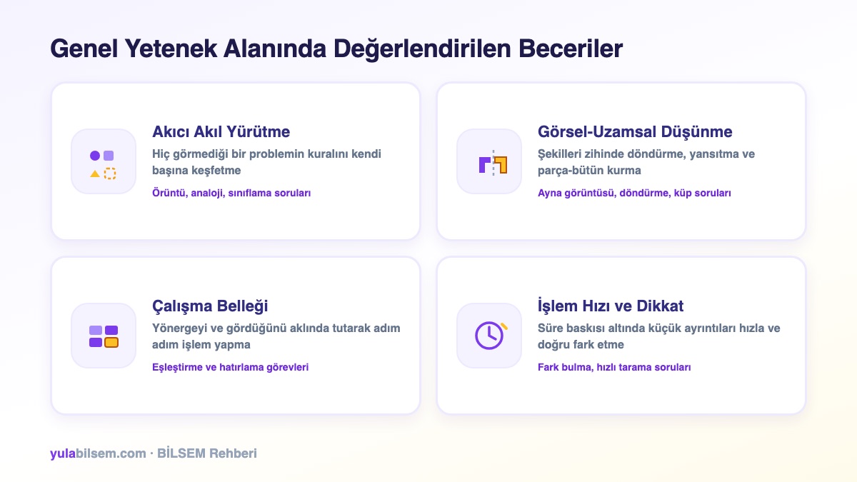 Genel yetenek alanında değerlendirilen dört bilişsel beceri kümesi